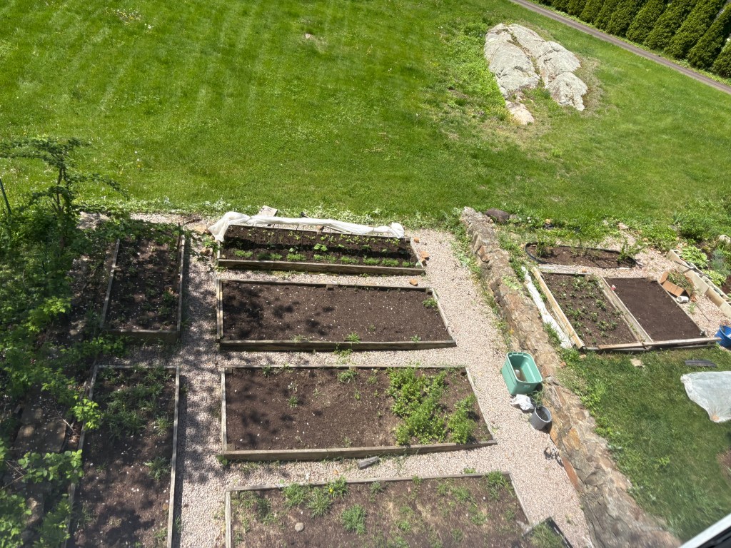 A vegetable garden seen from above